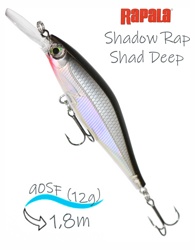 SDRSD09 S Shadow Rap Shad Deep - фото