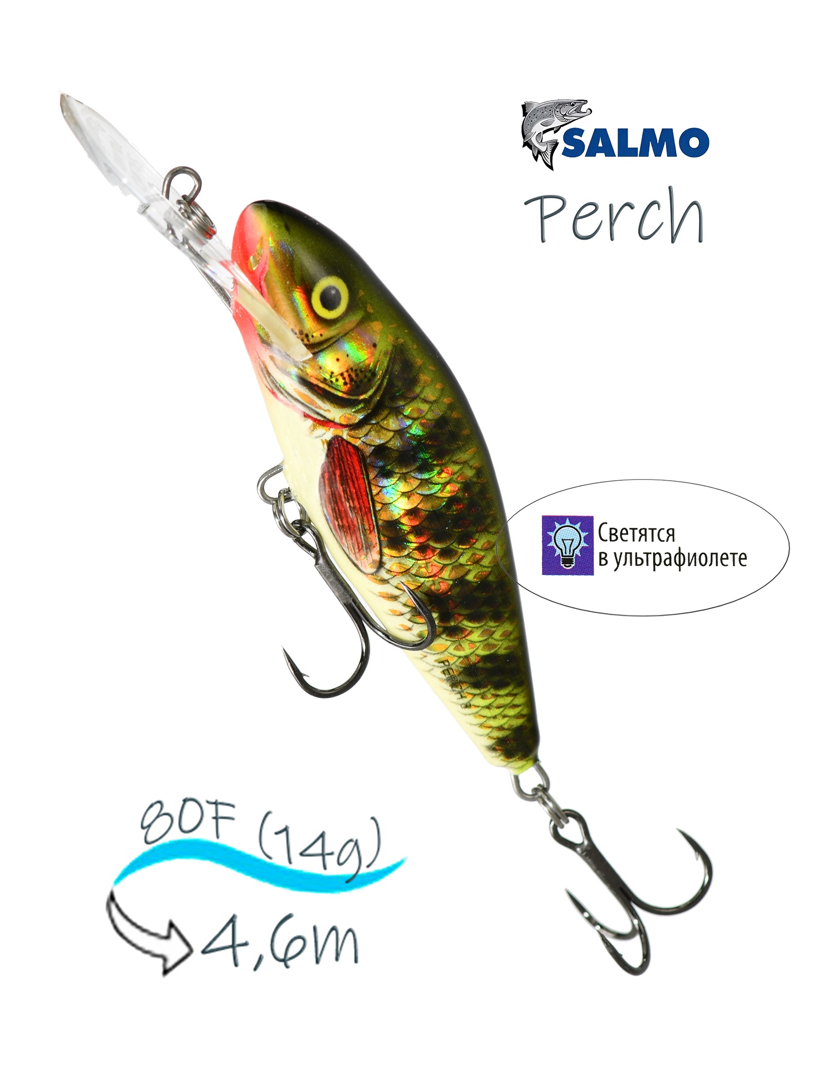 QPH002 Perch PH-080DR-HOP