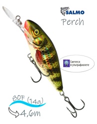 QPH002 Perch PH-080DR-HOP - фото