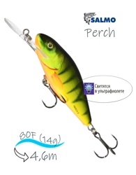 QPH003 Perch PH-080DR-HPH - фото