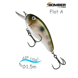 B02 FA520 Flat A - фото