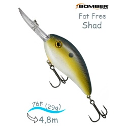 BD7 FFS Fat Free Shad - фото