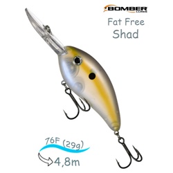 BD7 FSTR Fat Free Shad - фото