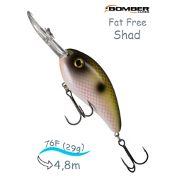 BD7 F519 Fat Free Shad - фото