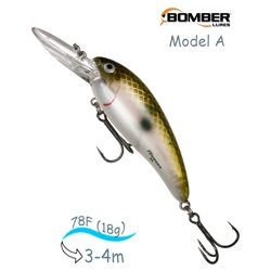 B08 A520 Model A - фото