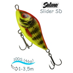 QSD321 Slider SD-100SI-BRP - фото