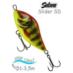 QSD330 Slider SD-100FL-BRP - фото