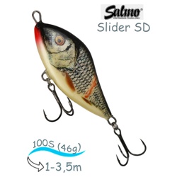 QSD032 Slider SD-100SI-WGS - фото