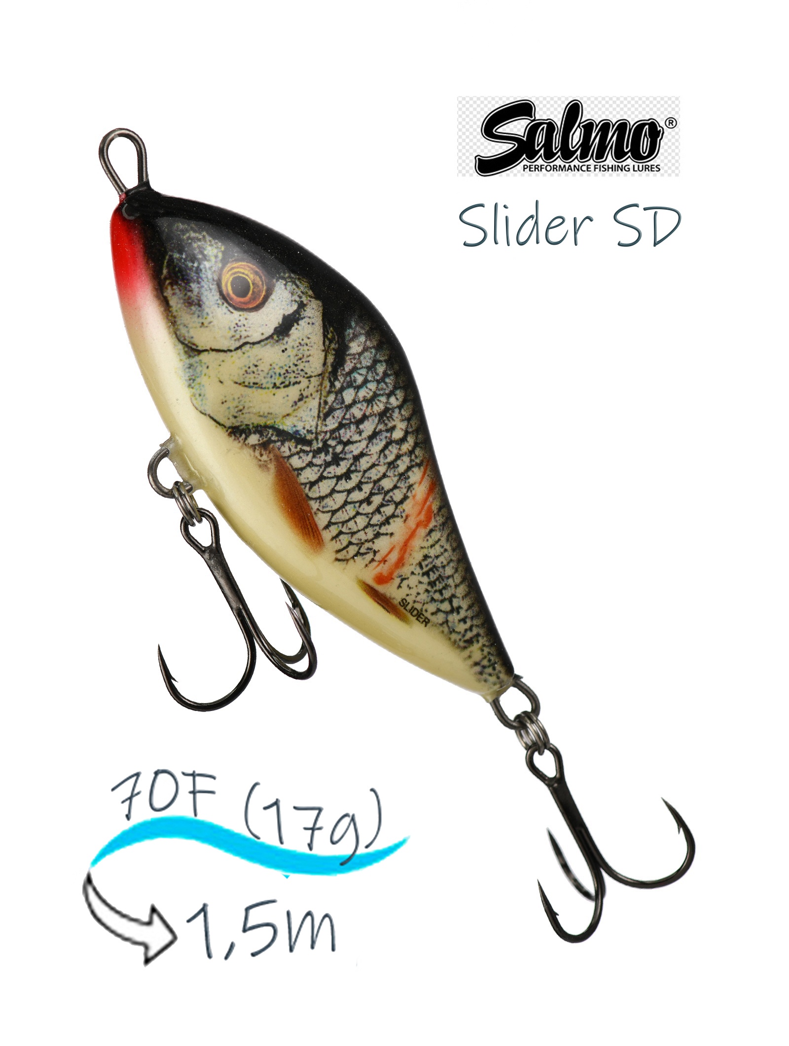 QSD274 Slider SD-070-FL-WGS - фото