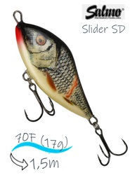 QSD274 Slider SD-070-FL-WGS - фото