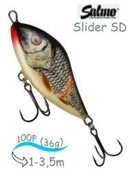 QSD024 Slider SD-100FL-WGS - фото