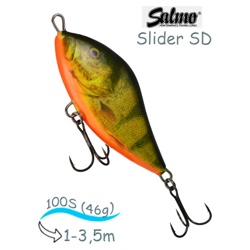QSD030 Slider SD-100SI-RHP - фото
