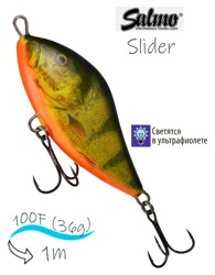 QSD022 Slider SD-100FL-RHP - фото