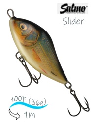 QSD021 Slider SD-100FL-RER - фото