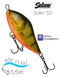 QSD267 Slider SD-070-FL-RHP - фото