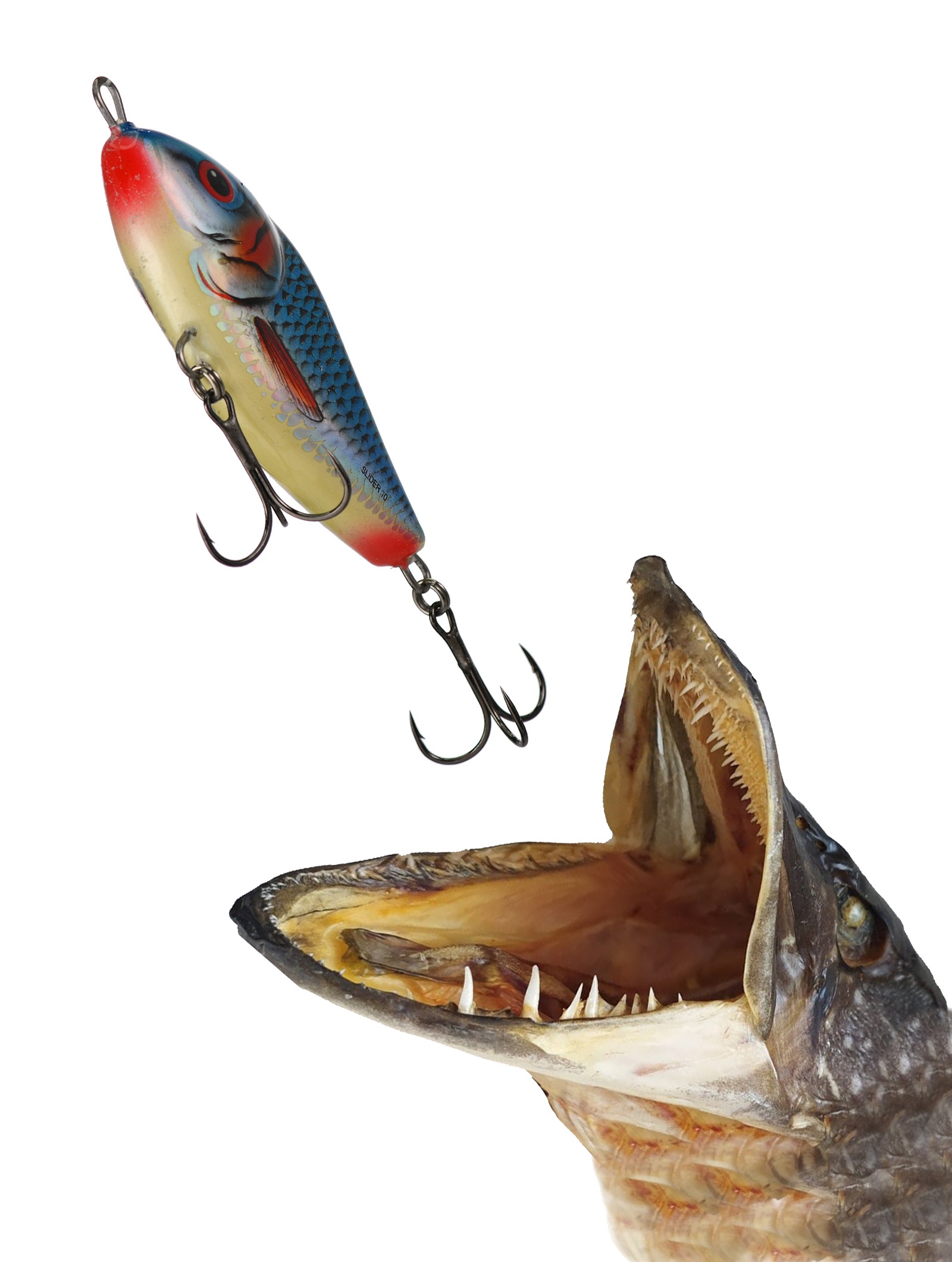 QSD328 Slider SD-070FL-BLA - фото2