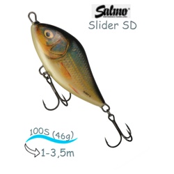 QSD029 Slider SD-100SI-RER - фото