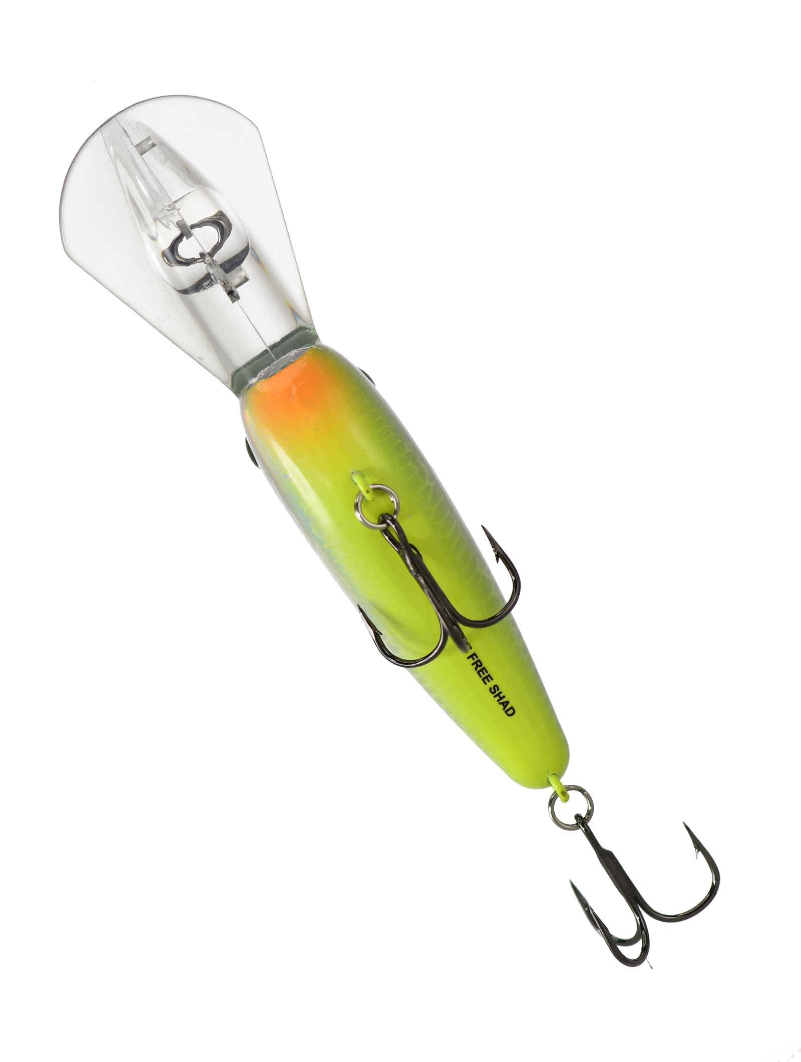 BD6 FDCS Fat Free Shad JR