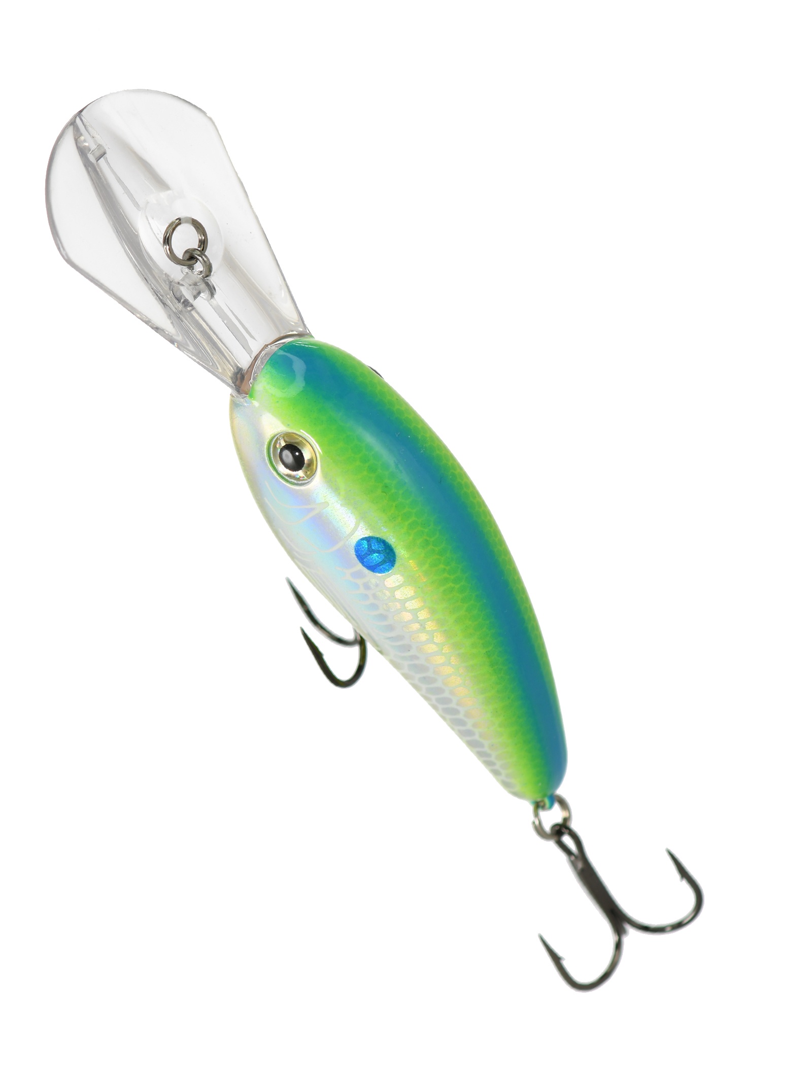 BD6 FDCS Fat Free Shad JR