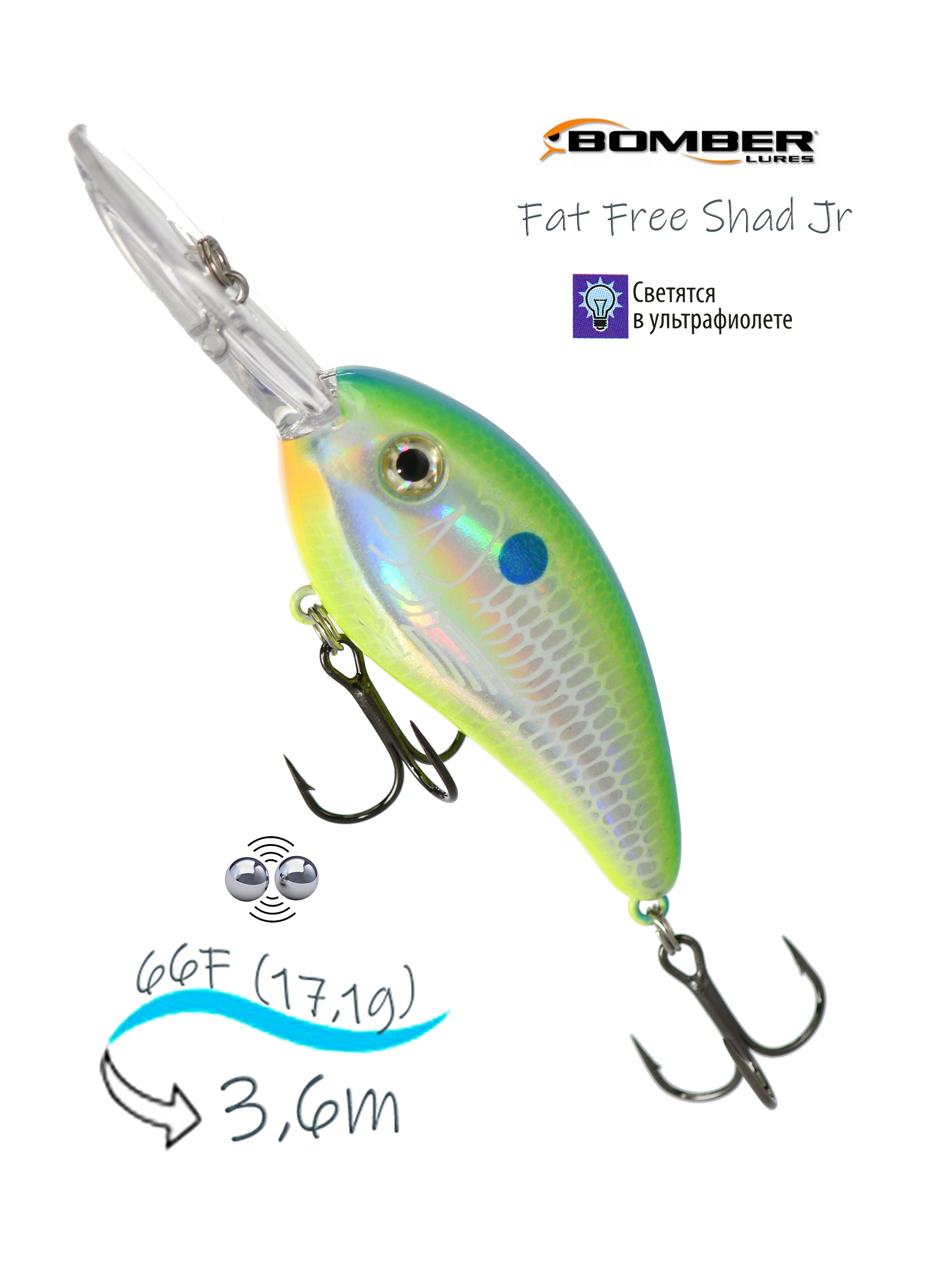BD6 FDCS Fat Free Shad JR