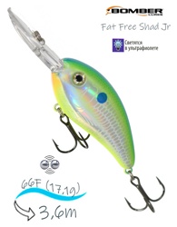 BD6 FDCS Fat Free Shad JR - фото