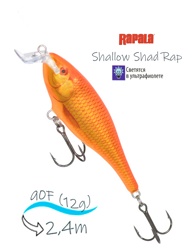 SSR09 GF Shallow Shad Rap - фото