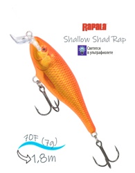 SSR07 GF Shallow Shad Rap - фото