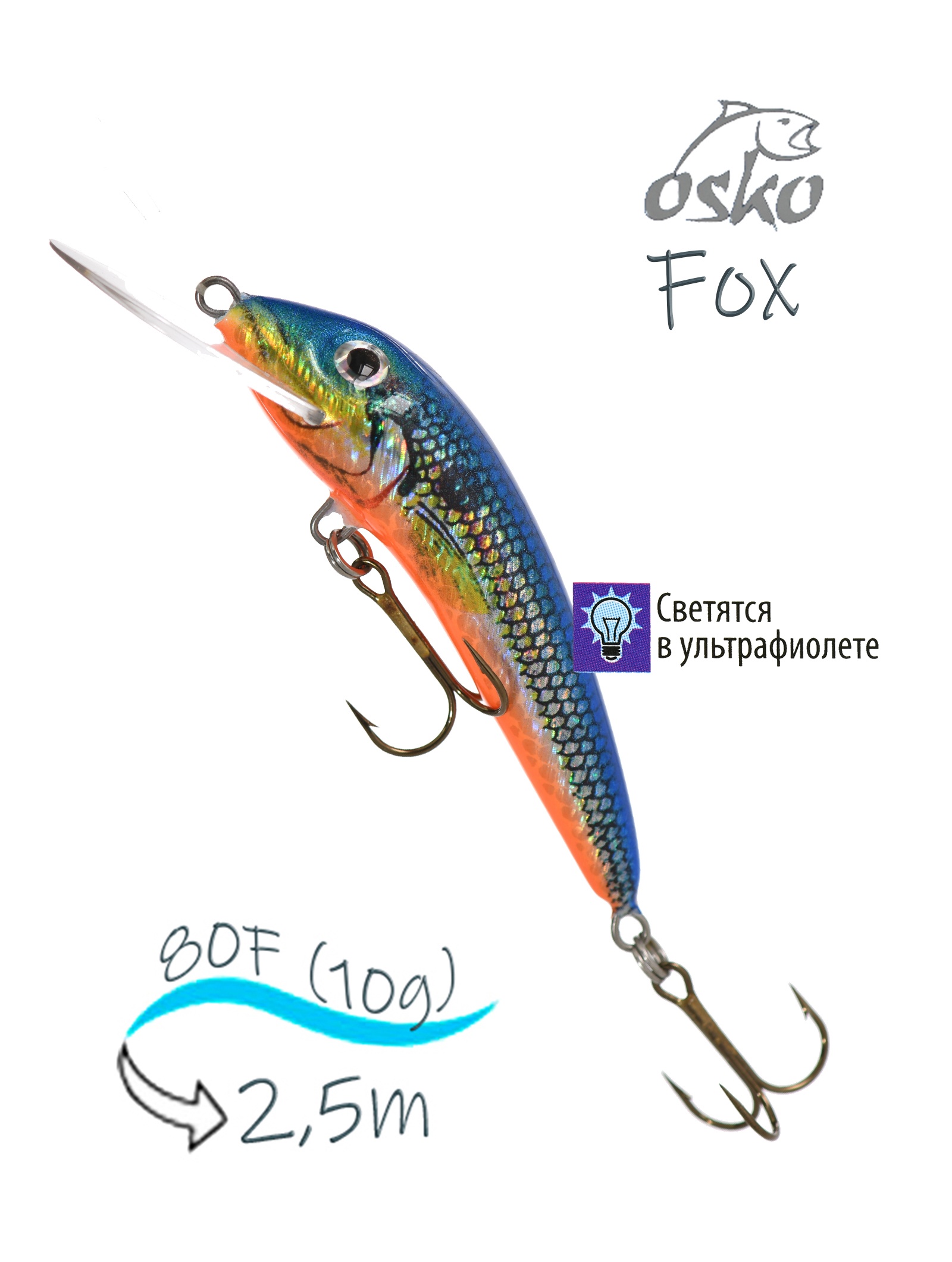 OFF08-81 Fox