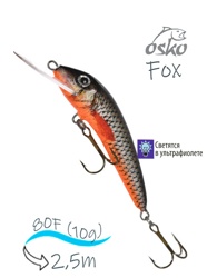OFF08-86 Fox - фото