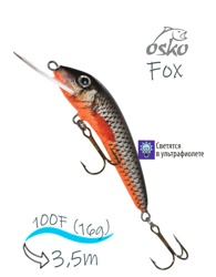 OFF10-86 Fox - фото