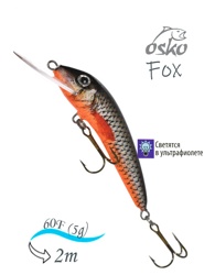 OFF06-86 Fox - фото