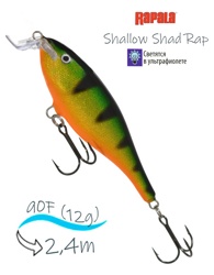 SSR09 P Shallow Shad Rap - фото