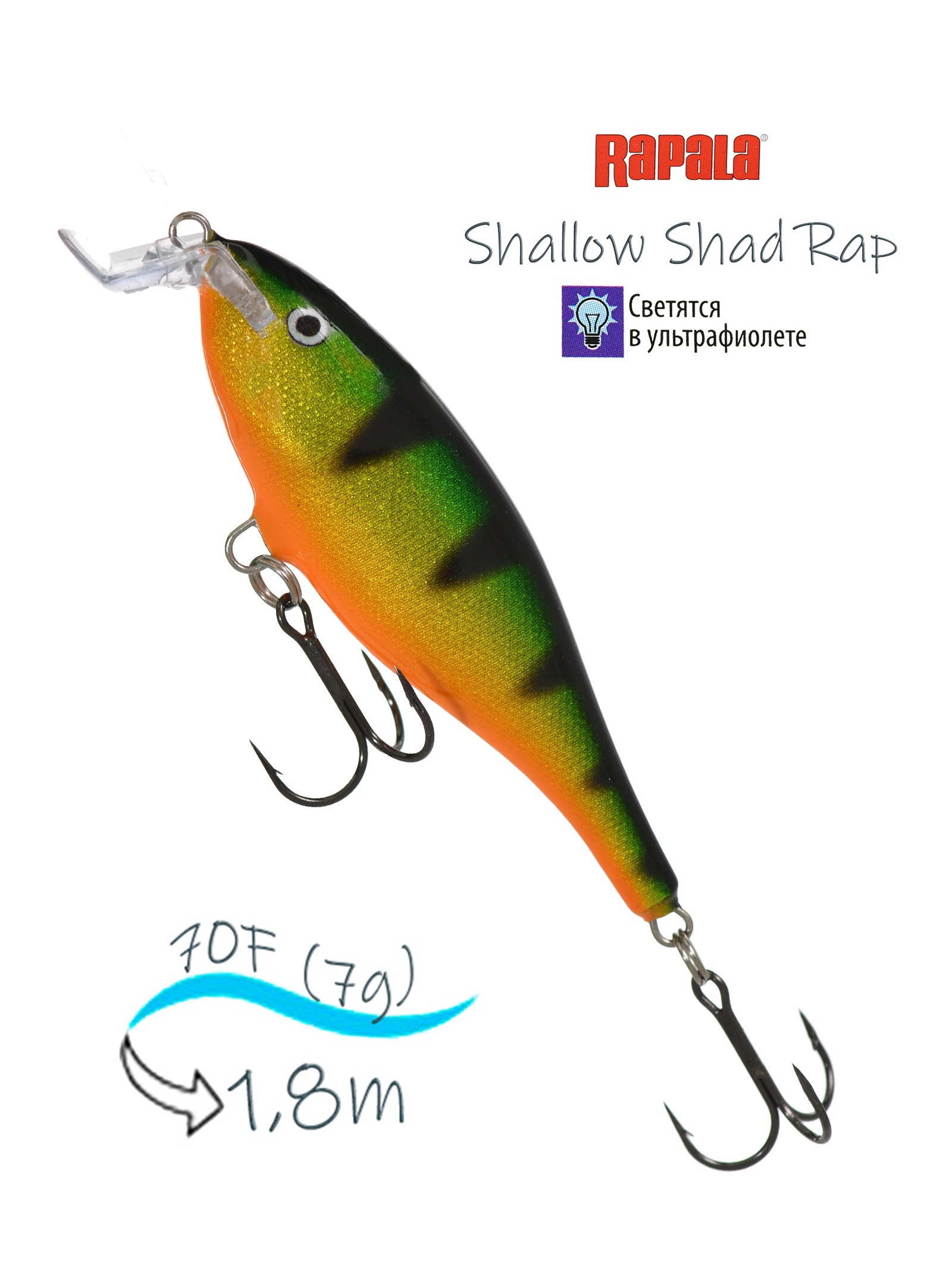 SSR07 P Shallow Shad Rap