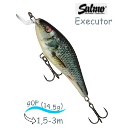 QEX012 Executor EX-090SR-RDE - фото