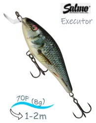 QEX008 Executor EX-070SR-RDE - фото