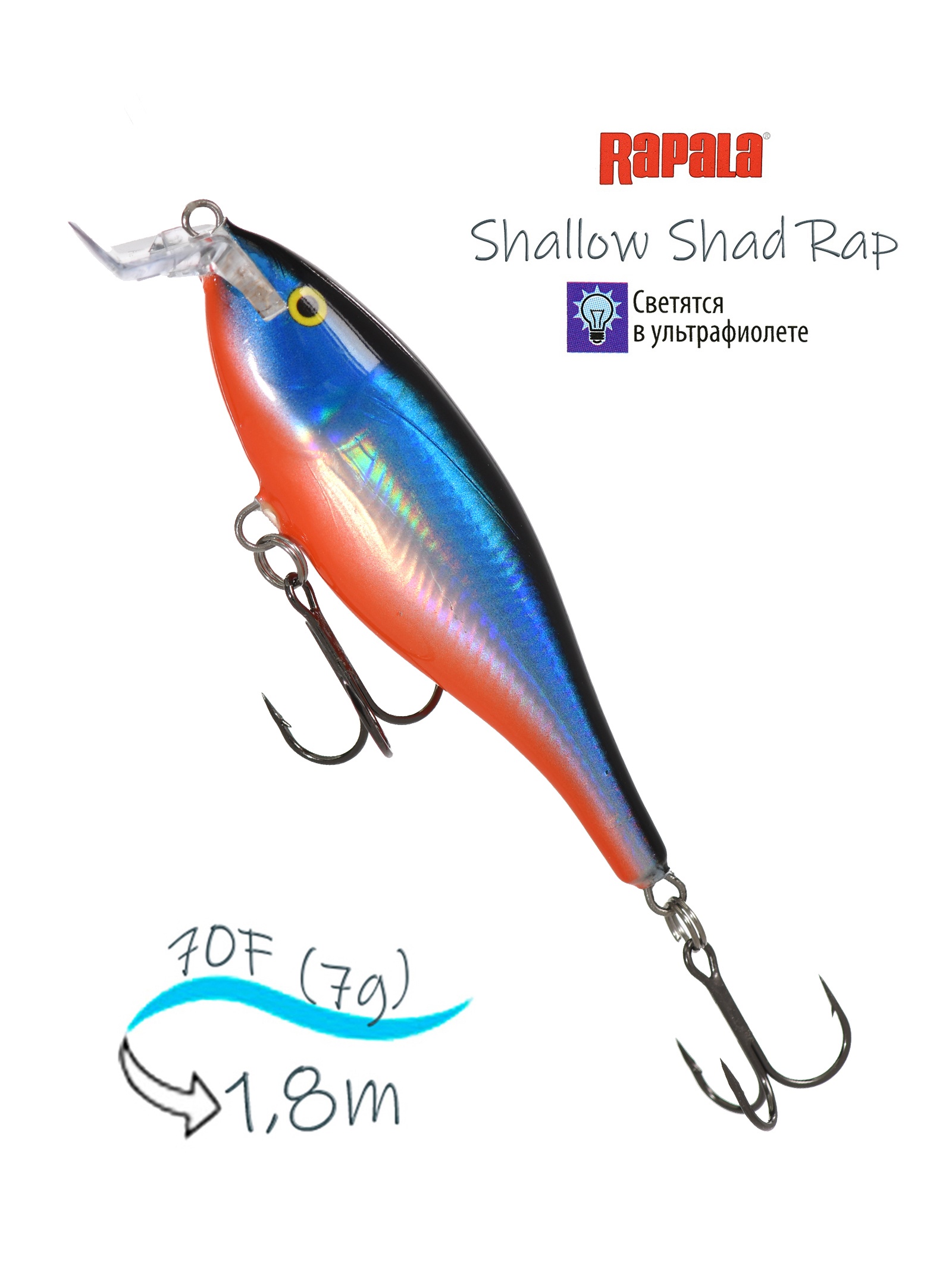 SSR07 BGHH Shallow Shad Rap - фото