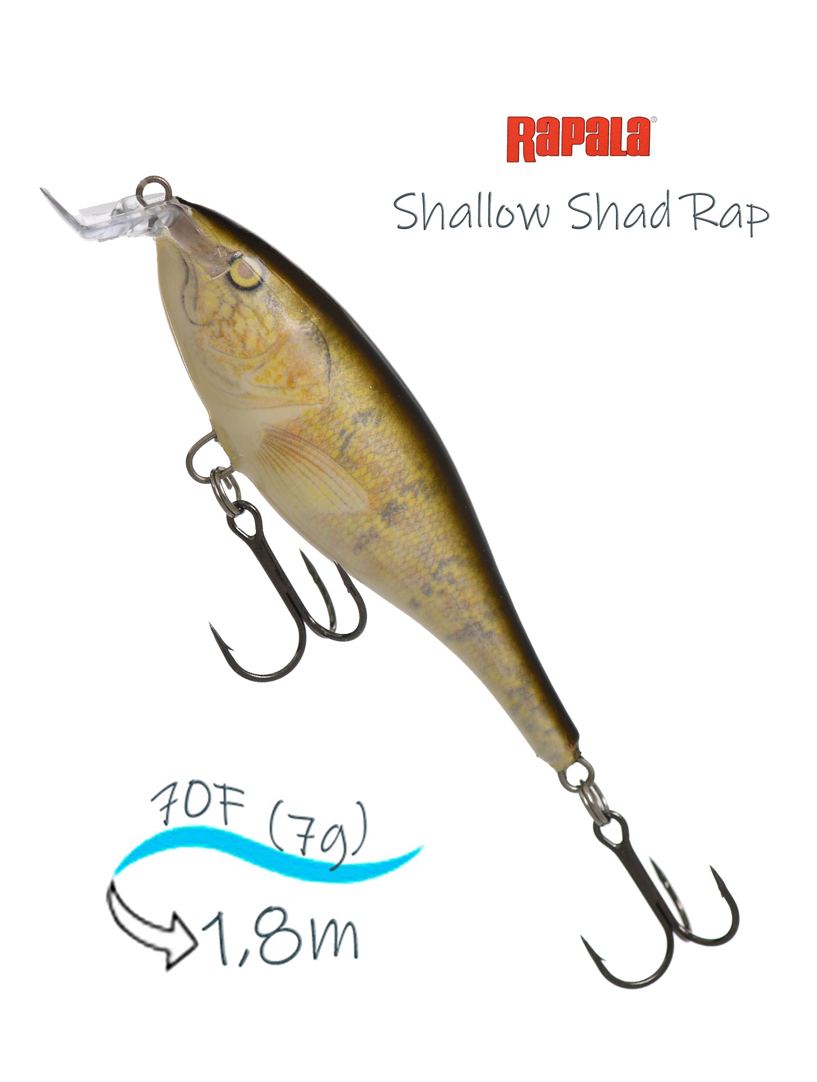 SSR07 W Shallow Shad Rap