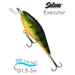 QEX014 Executor EX-090SR-RHP - фото