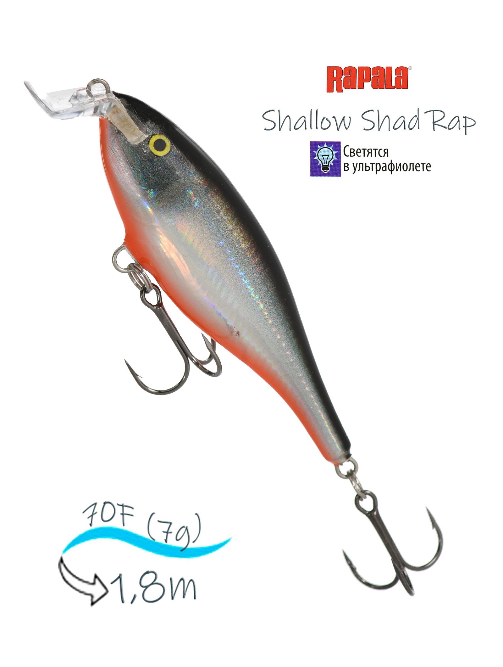 SSR07 HLWH Shallow Shad Rap