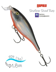 SSR07 HLWH Shallow Shad Rap - фото