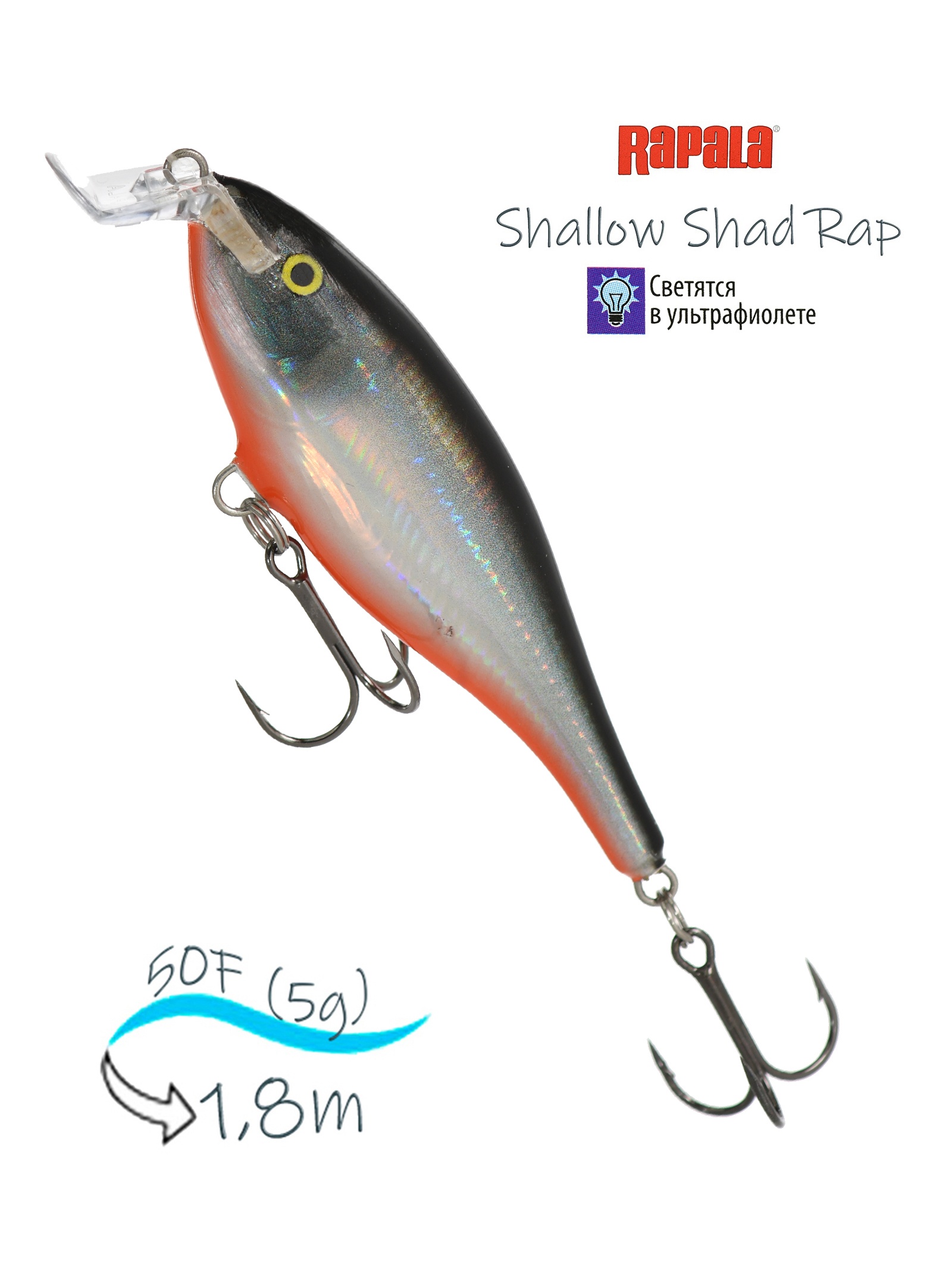 SSR05 HLWH Shallow Shad Rap