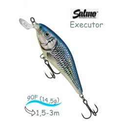 QEX013 Executor EX-090SR-HSH - фото