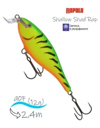 SSR09 FT Shallow Shad Rap - фото