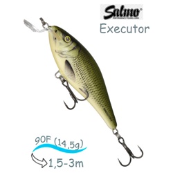 QEX100 Executor EX-090SR-OLB - фото