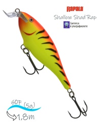 SSR05 HT Shallow Shad Rap - фото