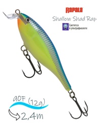 SSR09 CRSD Shallow Shad Rap - фото