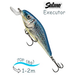 QEX007 Executor EX-070SR-HSH - фото