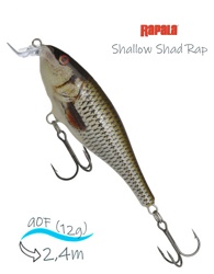 SSR09 ROL Shallow Shad Rap - фото