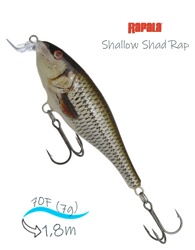 SSR07 ROL Shallow Shad Rap - фото
