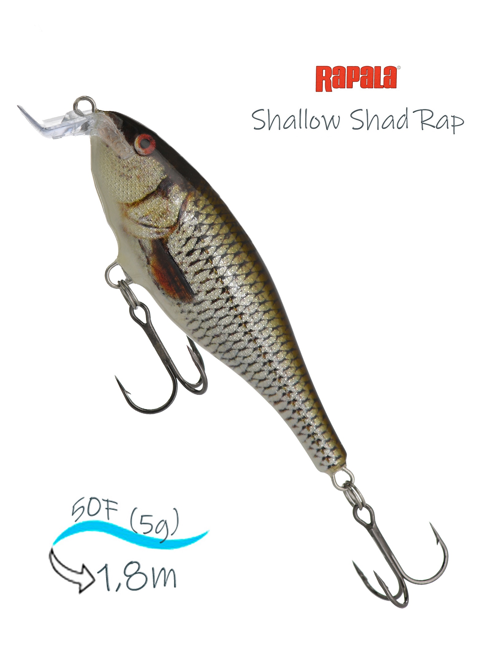 SSR05 ROL Shallow Shad Rap